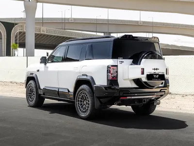 2025 BYD Leopard 8