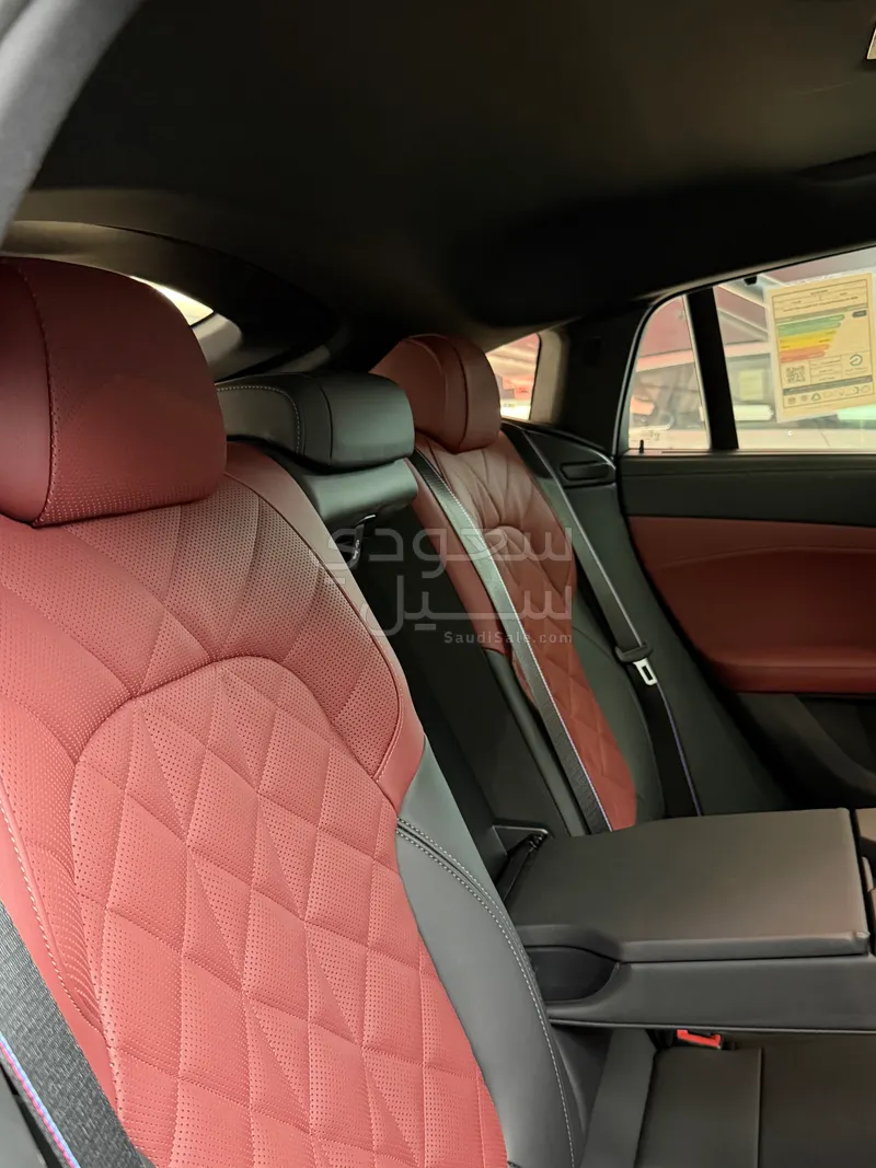 2025 BMW X Series 6