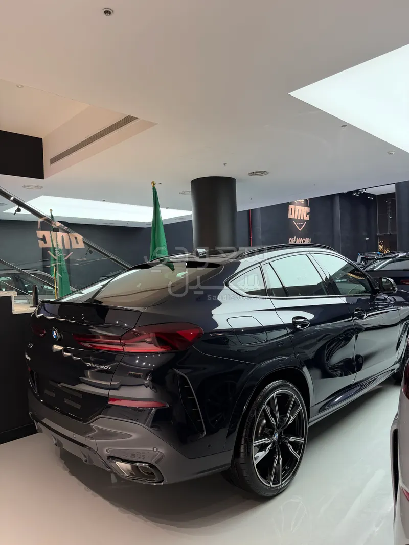 2025 BMW X Series 6