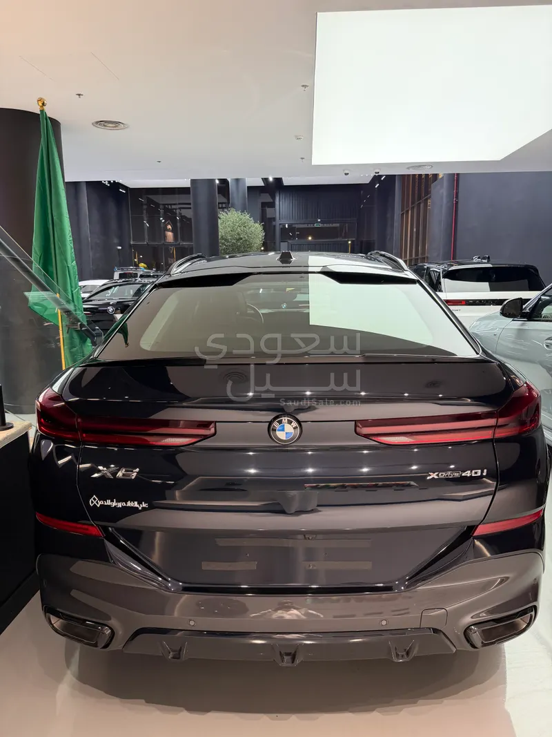 2025 BMW X Series 6