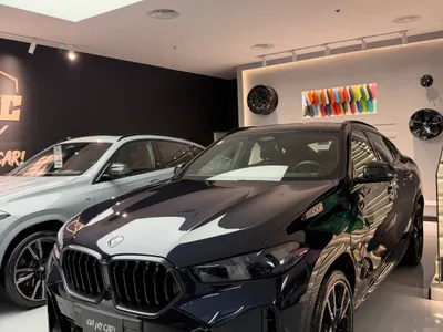 2025 BMW X Series 6