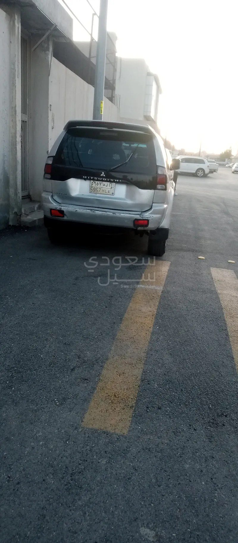 2010 متسوبيشي ناتيفا