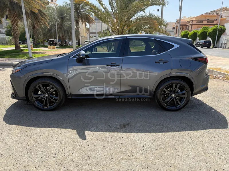 2024 لكزس إن إكس 350