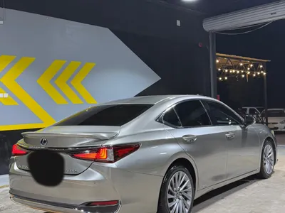 2019 لكزس إي إس 300