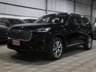 2021 هافال اتش 6