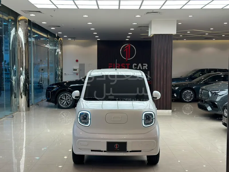 2025 فاو بيستون ميني إي في