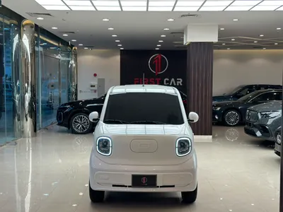 2025 فاو بيستون ميني إي في