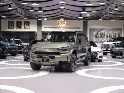 2026 دونج فينج 917 ام هيرو
