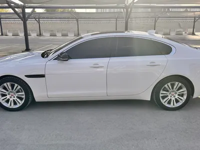 2020 جاكوار اكس اف اس