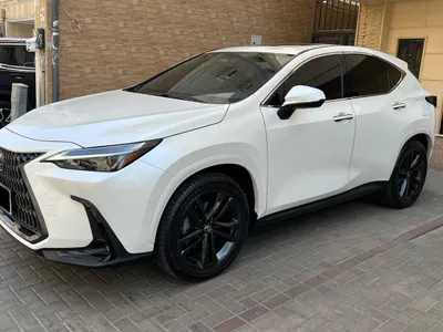 2025 Lexus NX 350