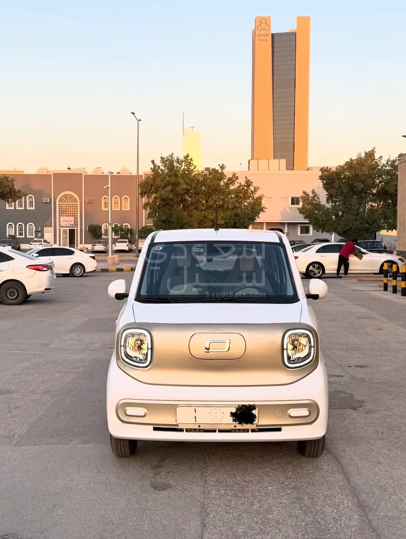 2025 فاو بيستون ميني إي في