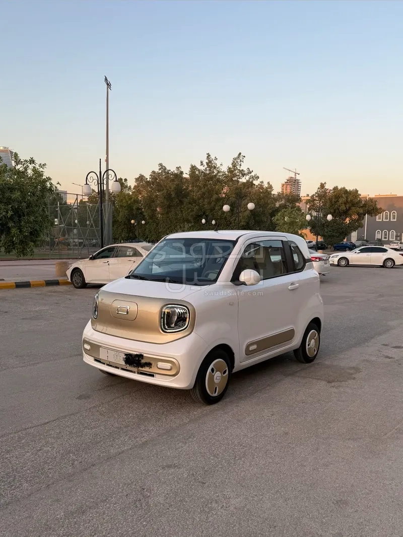 2025 فاو بيستون ميني إي في