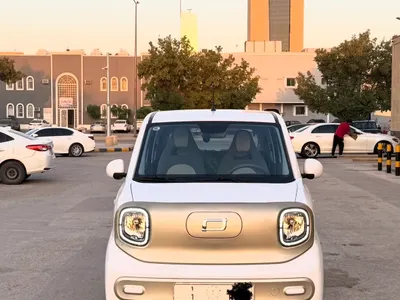 2025 فاو بيستون ميني إي في
