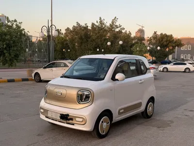 2025 فاو بيستون ميني إي في