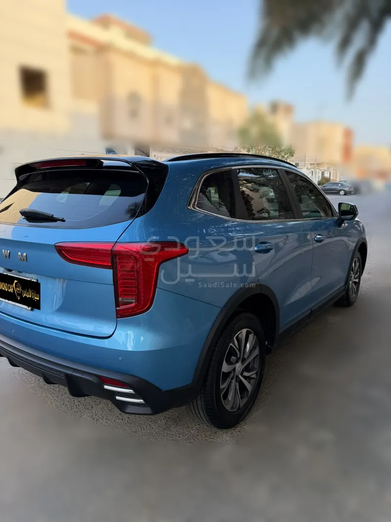 2025 هافال جوليون