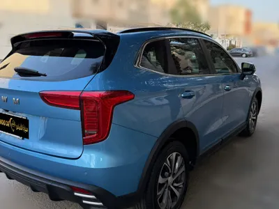 2025 هافال جوليون
