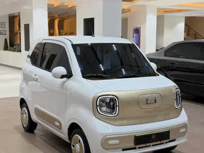 2025 فاو بيستون ميني إي في