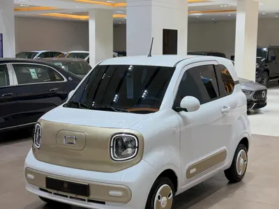 2025 فاو بيستون ميني إي في