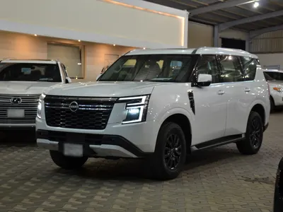 2025 نيسان باترول اس اي 2