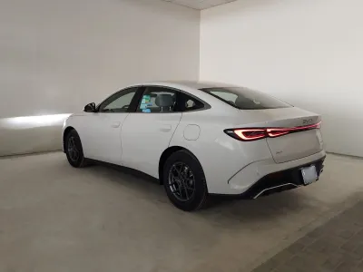 2027 بي واي دي سيل