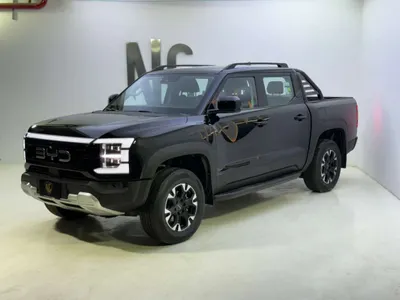 2026 بي واي دي شارك 6