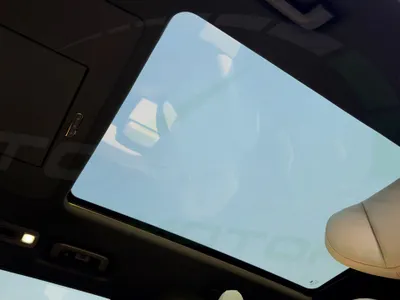 2026 روكس 01