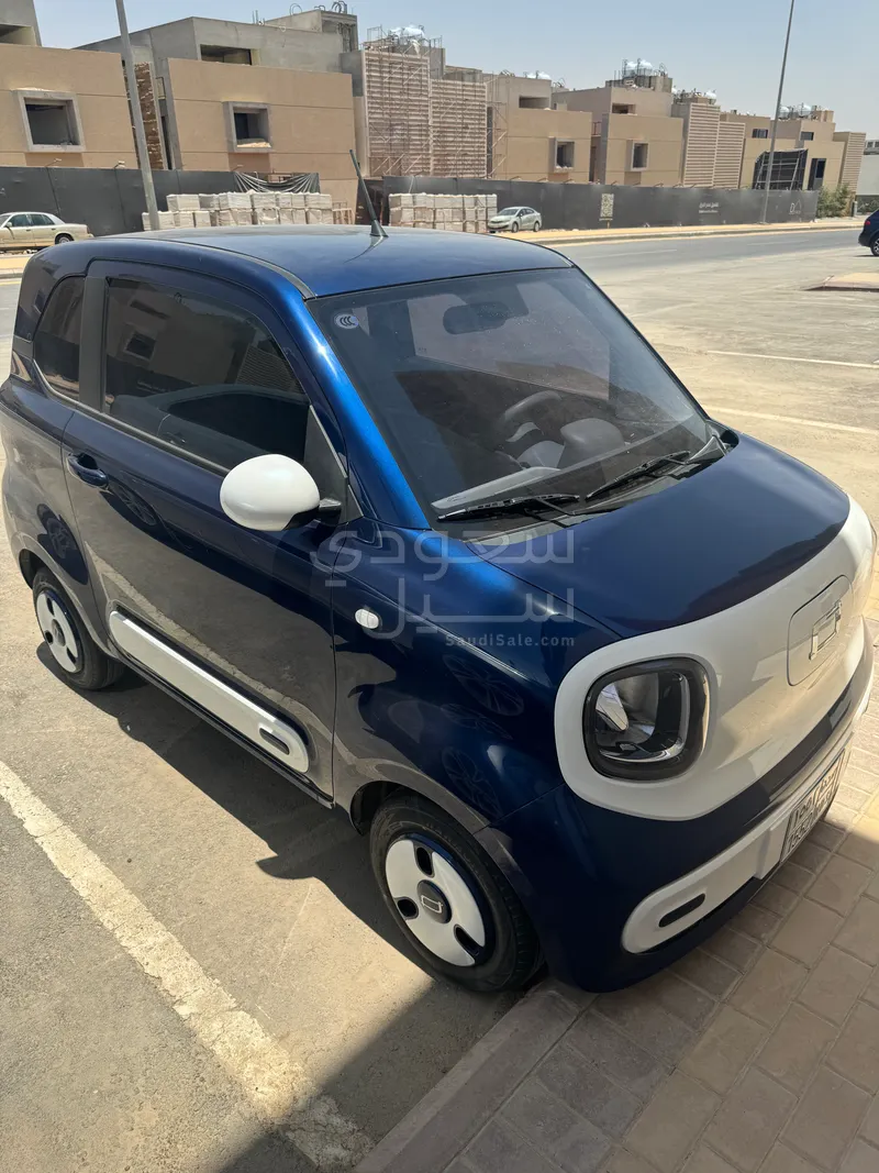 2025 فاو بيستون ميني إي في