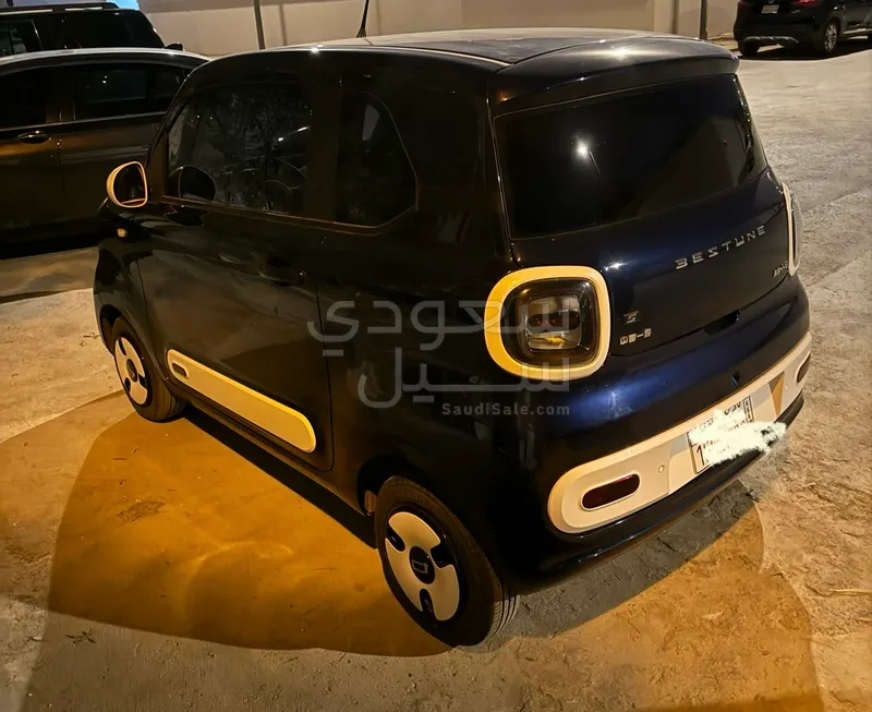 2025 فاو بيستون ميني إي في