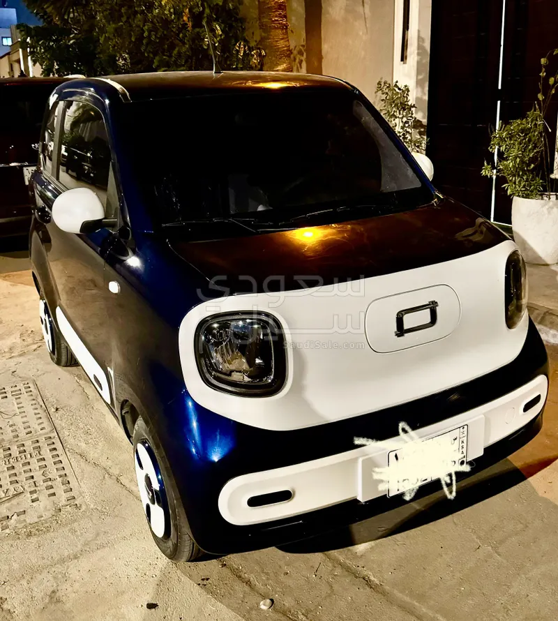 2025 فاو بيستون ميني إي في