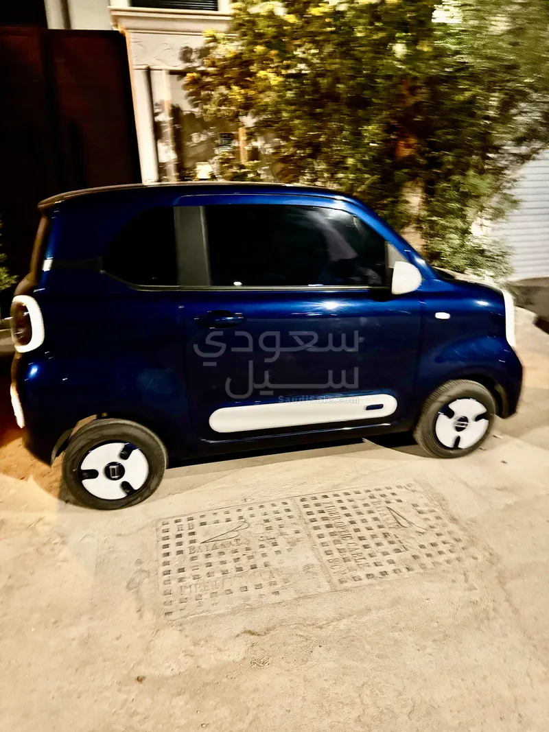2025 فاو بيستون ميني إي في