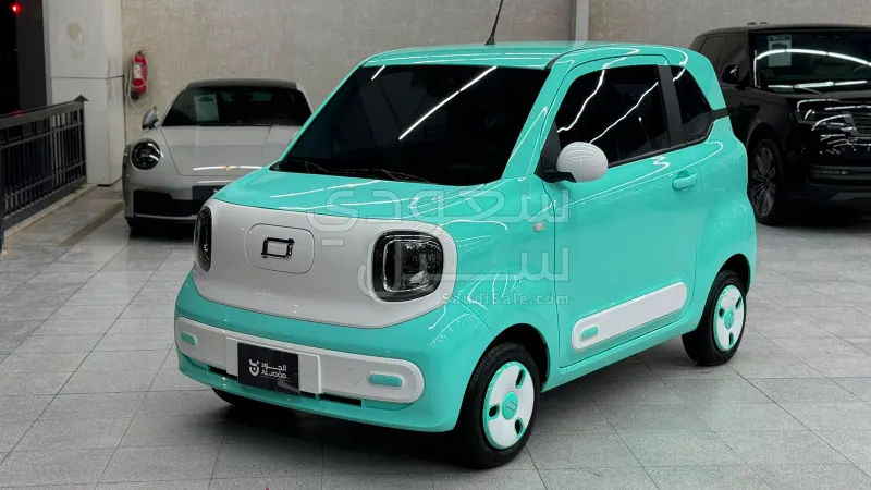 2025 فاو بيستون بي70