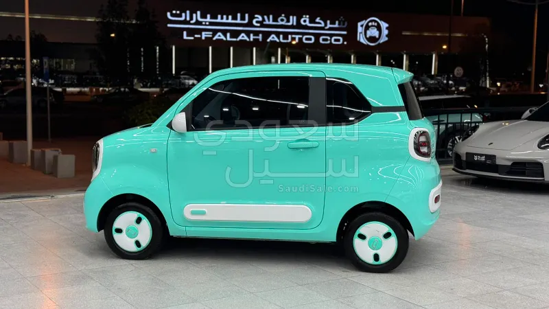 2025 فاو بيستون بي70
