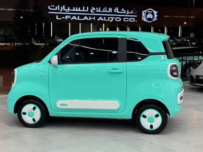 2025 فاو بيستون بي70
