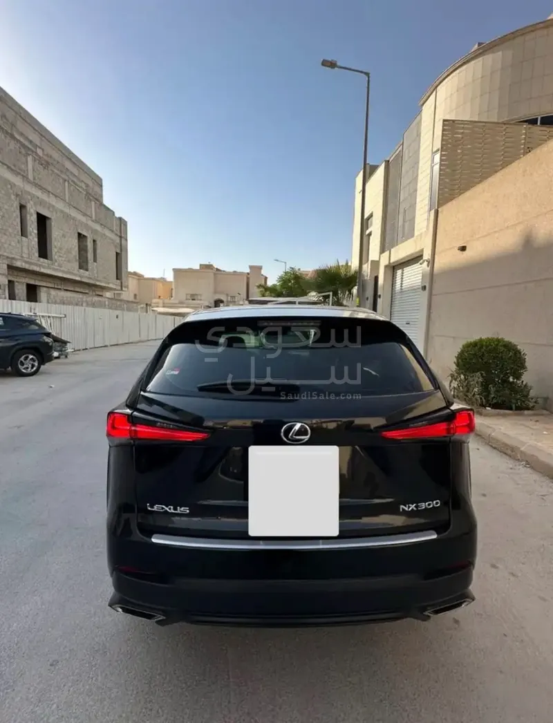 2019 لكزس إن إكس 300