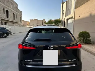 2019 لكزس إن إكس 300