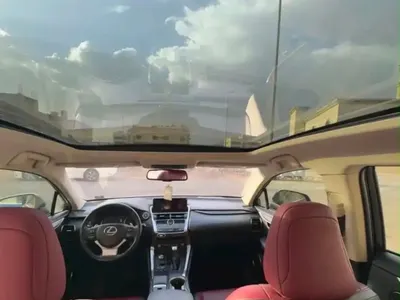 2019 لكزس إن إكس 300