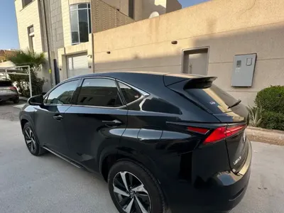 2019 لكزس إن إكس 300