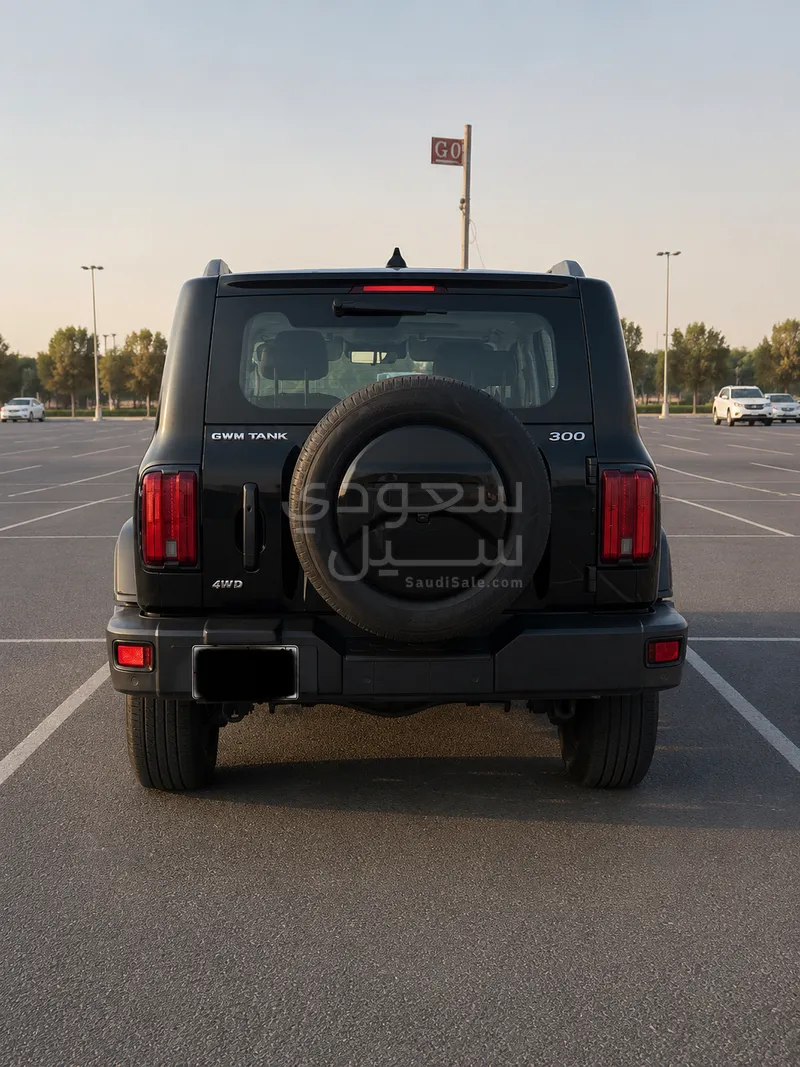 2024 تانك 300
