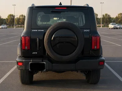 2024 تانك 300