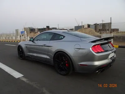 2021 فورد موستانغ شيلبي جي تي 500