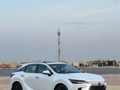 2025 لكزس أر إكس 350