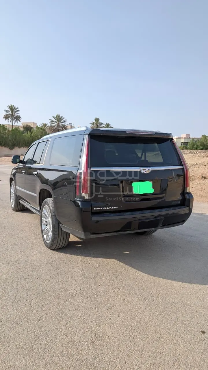 2019 كاديلاك اسكاليد بلاتينيوم