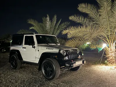 2017 جييب رانجلر ويلز