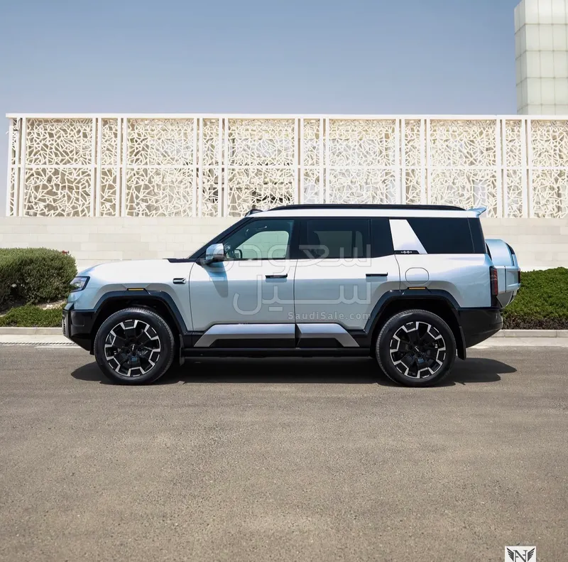 2025 بي واي دي ليوبارد 8