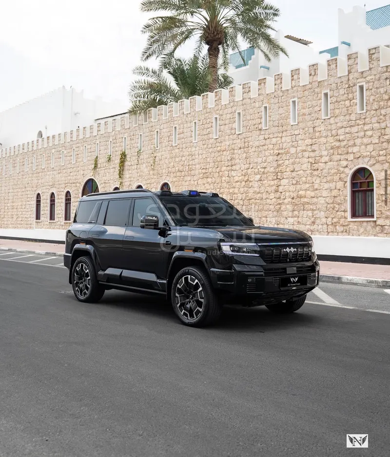 2025 بي واي دي ليوبارد 8
