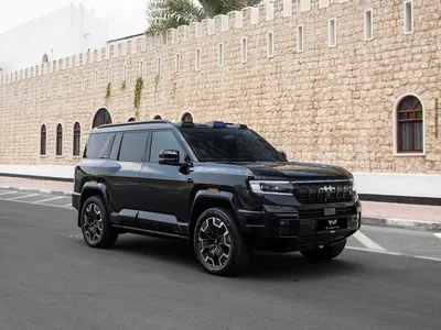 2025 بي واي دي ليوبارد 8