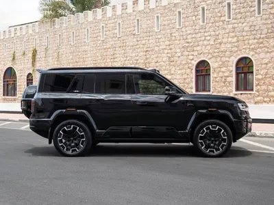 2025 بي واي دي ليوبارد 8