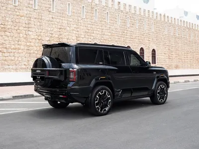 2025 بي واي دي ليوبارد 8