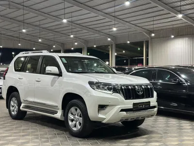 2019 تويوتا برادو تي اكس ال