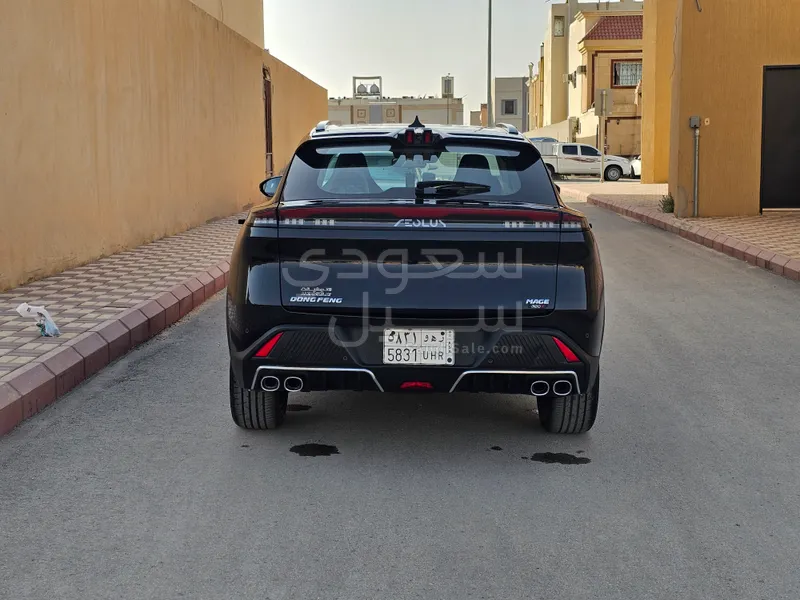 2025 دونج فينج شاين